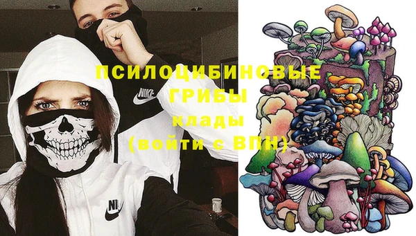 mdma Заводоуковск