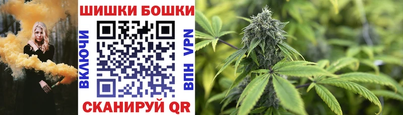 Каннабис семена  наркошоп  OMG как зайти  Бердск 